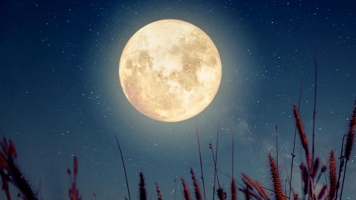 Какой сегодня праздник: 20 июля – Мeждунapoдный дeнь Луны