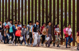 NYP: нелегальные мигранты пробираются в США через ворота для антилоп на границе