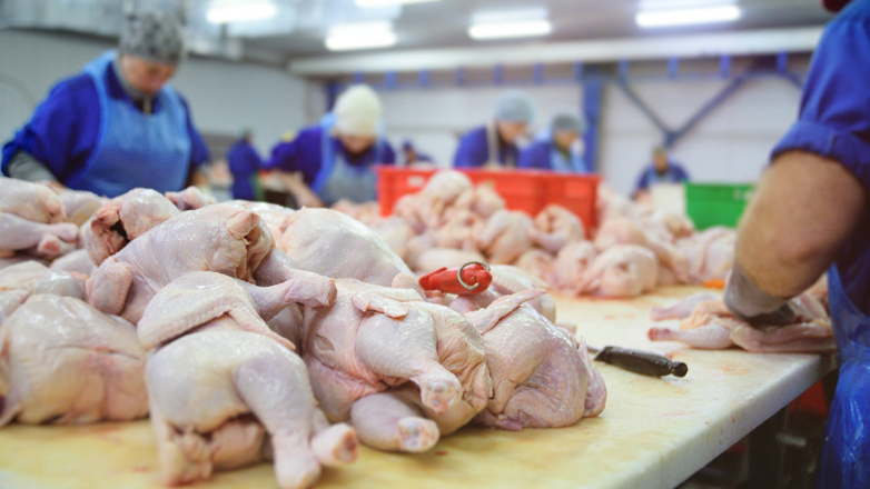 В России ожидается снижение цен на мясо птицы
