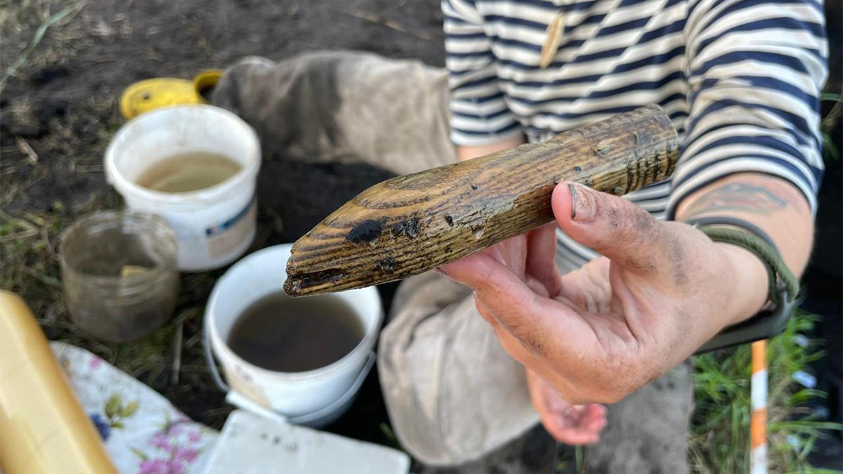 Экспедиция Эрмитажа обнаружила уникальные артефакты в Смоленской области