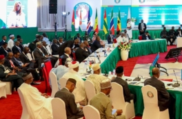 Al Arabiya: переговоры делегации ECOWAS с мятежниками в Нигере провалились