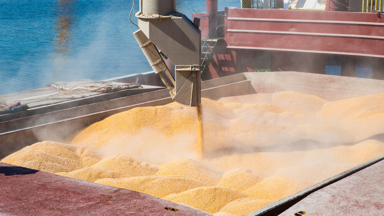 Вершинин заявил о начале реализации инициативы России по поставкам зерна