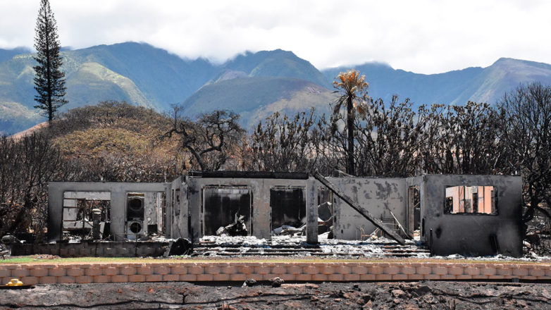 Число пропавших без вести после пожаров на Гавайях может достигать 1,1 тысячи