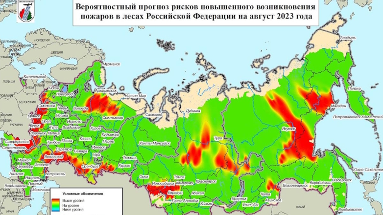 Россиян предупредили о риске лесных пожаров в 32 регионах