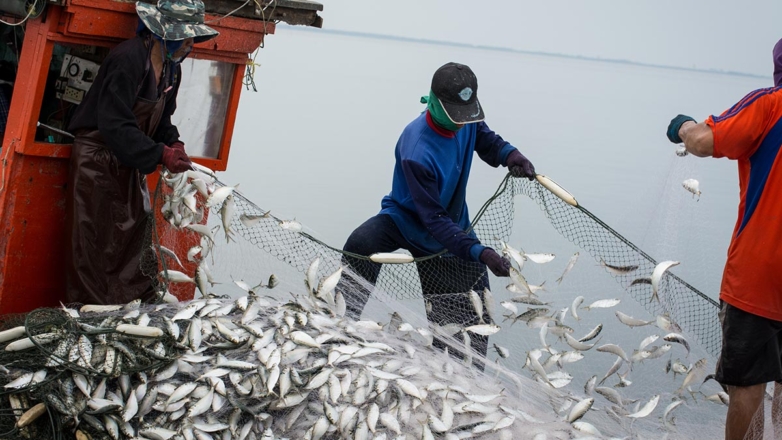 В России усилили радиационный контроль за морепродуктами из Японии