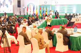 Глава ЭКОВАС предложил пересмотреть подход к Буркина-Фасо, Мали и Нигеру
