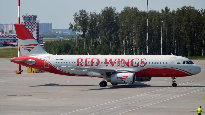 Бастрыкин поручил завести дело против авиакомпании Red Wings