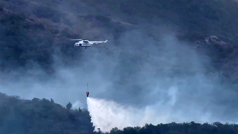 В Геленджике локализовали крупный лесной пожар