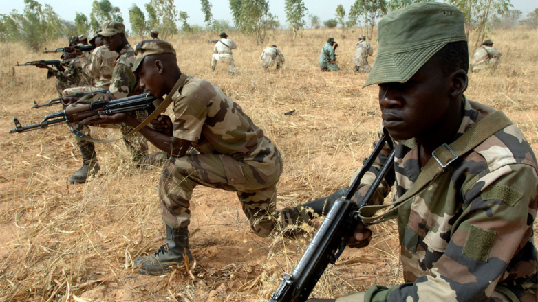 В Нигерии объявили о начале учений всех родов войск на фоне ситуации в Нигере