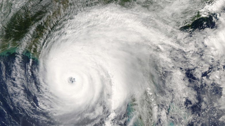 Ураган "Идалия" может нанести "катастрофический ущерб" в США