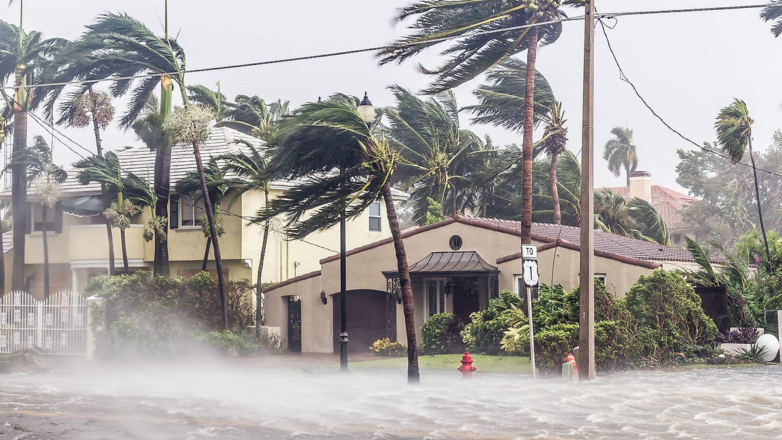 NHC: ураган "Идалия" обрушился на побережье Флориды