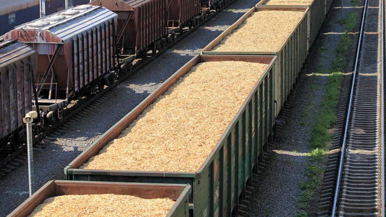 В 2023 году в России, по предварительным оценкам, собрали 147 млн тонн зерна