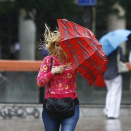 Жителей Москвы и области предупредили о граде, грозе и сильном ветре в воскресенье
