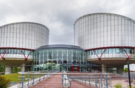 Пленум ВС РФ разрешил судам не учитывать практику ЕСПЧ при рассмотрении дел