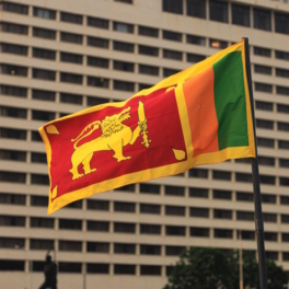 На Шри-Ланке объяснили иностранцам правила ведения бизнеса