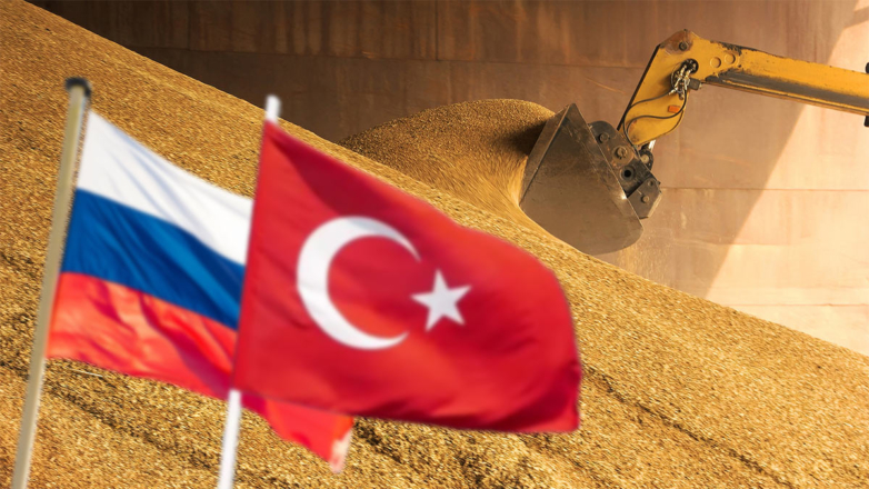 Россия и Турция договорились о поставках 1 миллиона тонн зерна
