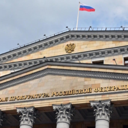 СМИ: сотрудникам нежелательных организаций могут запретить въезд в Россию