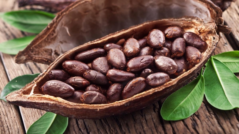 Эксперт уверен, что в России возможно выращивание какао-бобов