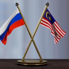 В Малайзии заявили, что членство страны в БРИКС выгодно России