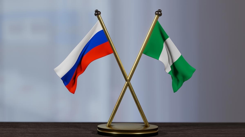 В посольстве России прокомментировали отзыв посла Нигерии