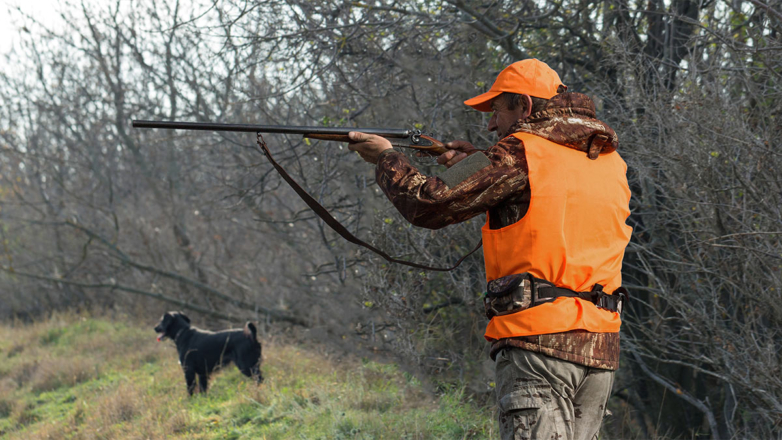 Что нужно знать охотникам перед началом охотничьего сезона