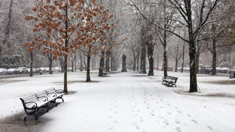 Метеоролог сообщил, когда в Центральной России может выпасть первый снег
