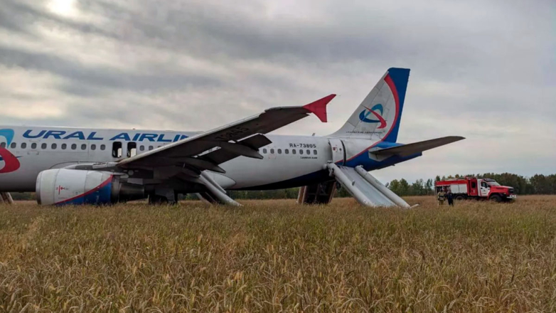 РИА Новости: самолет мог сесть под Новосибирском из-за отказа гидросистемы