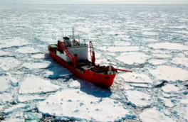 Трамп планирует купить больше ледоколов для патрулирования – NBC