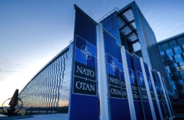 Глава НКО "Европейский комитет по расширению НАТО" призвал Альянс бомбить Сербию