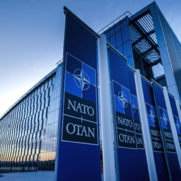 Парламентская ассамблея НАТО выступила за разрешение Украине атаковать объекты в России оружием блока