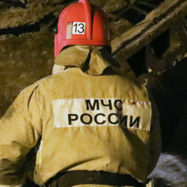 При пожаре в СНТ в Подмосковье погибли 6 человек