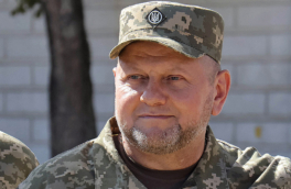 СМИ: главком ВСУ Залужный может стать фигурантом дела об утрате юга Украины