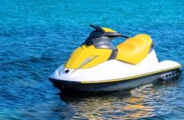 Береговая охрана Алжира расстреляла туристов на гидроциклах