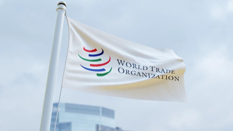 Киев подал в ВТО иски против стран, запретивших ввоз украинского зерна