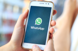 В ГД заявили, что WhatsApp не введет функцию создания каналов в РФ