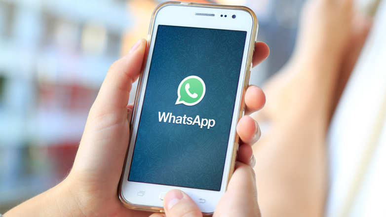 В ГД заявили, что WhatsApp не введет функцию создания каналов в РФ