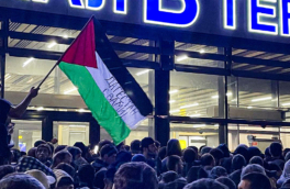 Глава Дагестана: беспорядками в аэропорту Махачкалы оперировали с Украины