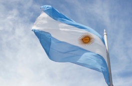 Аргентинские профсоюзы устроили всеобщую забастовку против реформ Милея