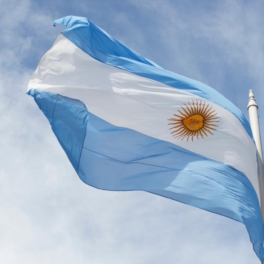 Аргентинские профсоюзы устроили всеобщую забастовку против реформ Милея