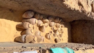 Археологи нашли в Египте сотни кувшинов с остатками 5000-летнего вина