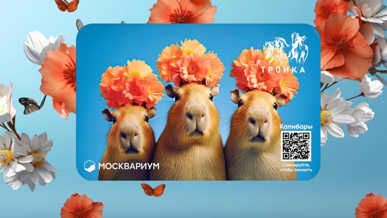 В Москве выпустили "Тройку" с капибарами: как оформить и где действует проездной