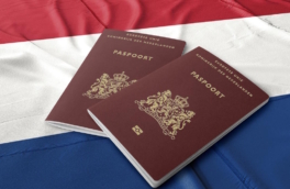 Лауреата Нобелевской премии по физике Андрея Гейма лишили гражданства Нидерландов