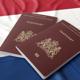 Лауреата Нобелевской премии по физике Андрея Гейма лишили гражданства Нидерландов