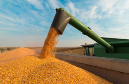 Совет ЕС утвердил повышение пошлин на сельхозпродукцию из России и Белоруссии с 1 июля