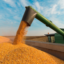 Совет ЕС утвердил повышение пошлин на сельхозпродукцию из России и Белоруссии с 1 июля