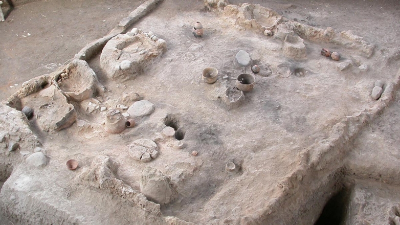 В Турции нашли уникальные глиняные статуэтки, которым 7700 лет