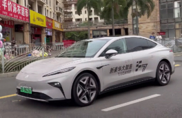 В России появился новый автомобильный бренд Rising