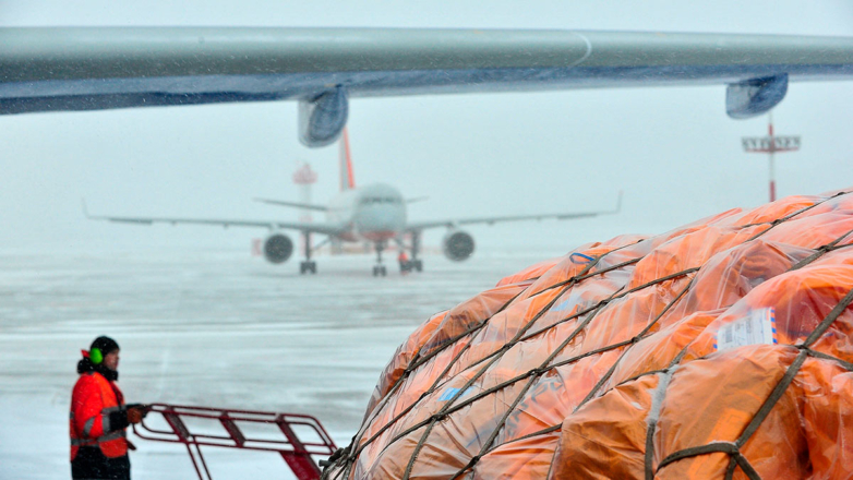 Более 40 рейсов отменили или задержали в Москве из-за снежной погоды