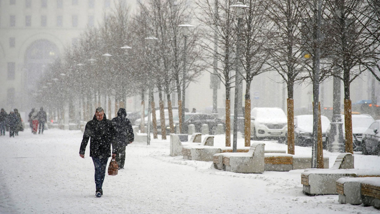Вильфанд заявил, что высота снежного покрова в Москве вырастет до 8 сантиметров