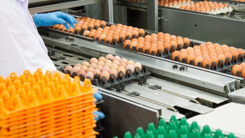 Минсельхоз РФ предложил запретить экспорт яиц на 6 месяцев для сдерживания цен